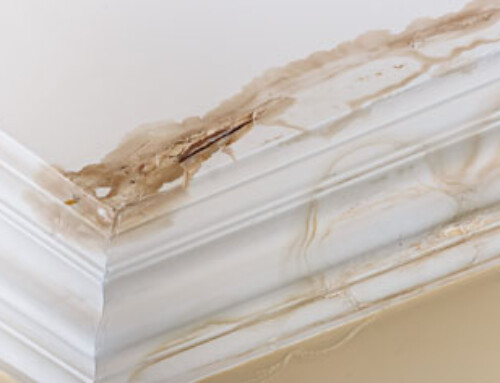 Five reasons to choose a fibreglass flat roof