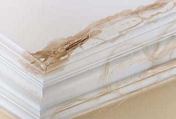 Avoid leaky roofs fibreglass roofing