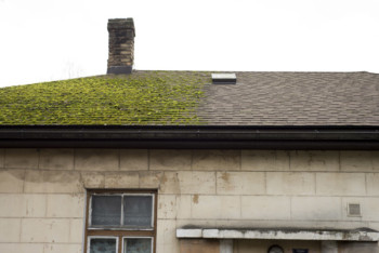 Roof maintenance guides - our top tips for reducing roofing issues
