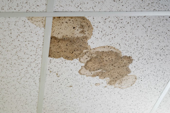 Commercial roofing experts - find out why your business' roof is leaking