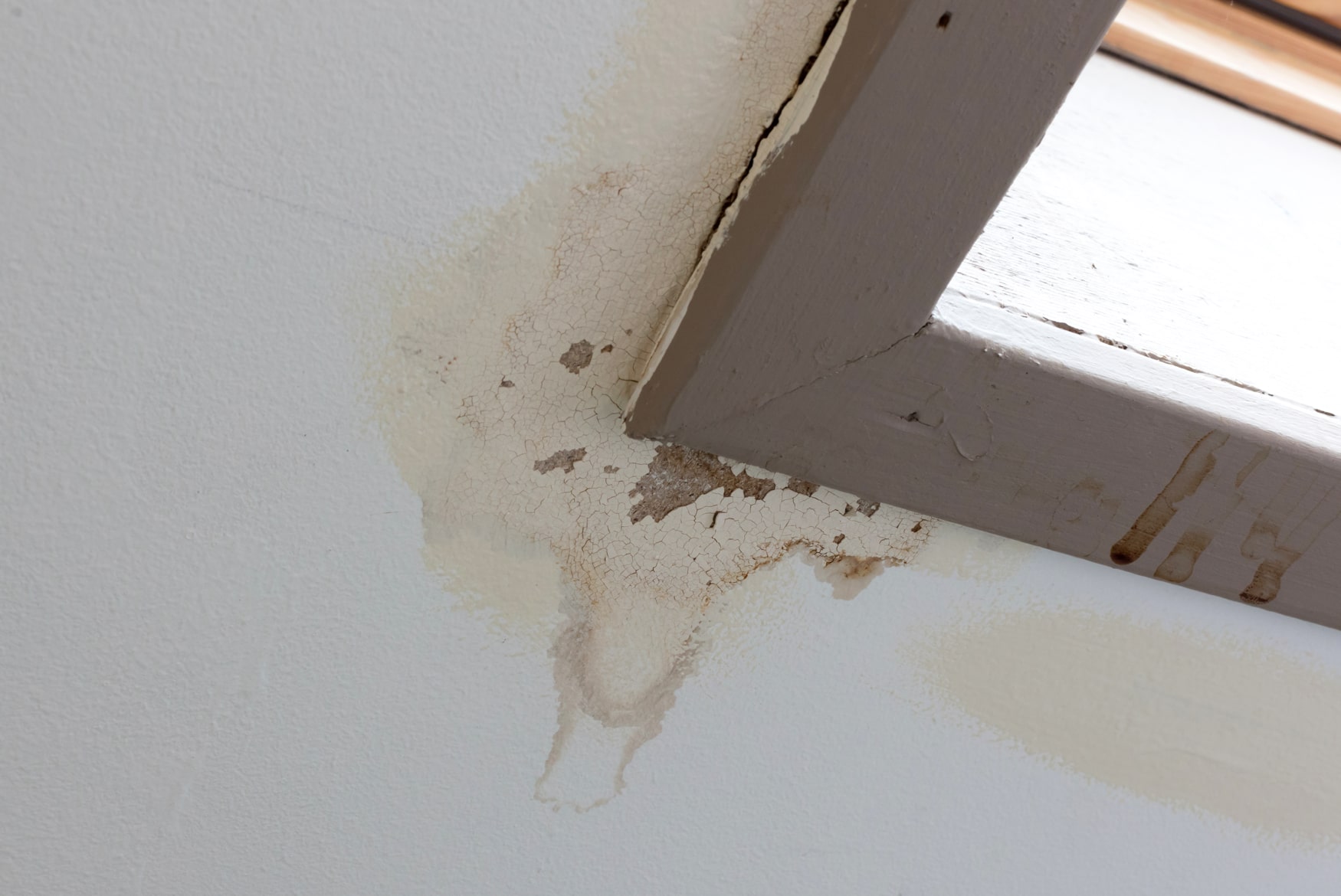 Roof leaks around skylights and what to do about them